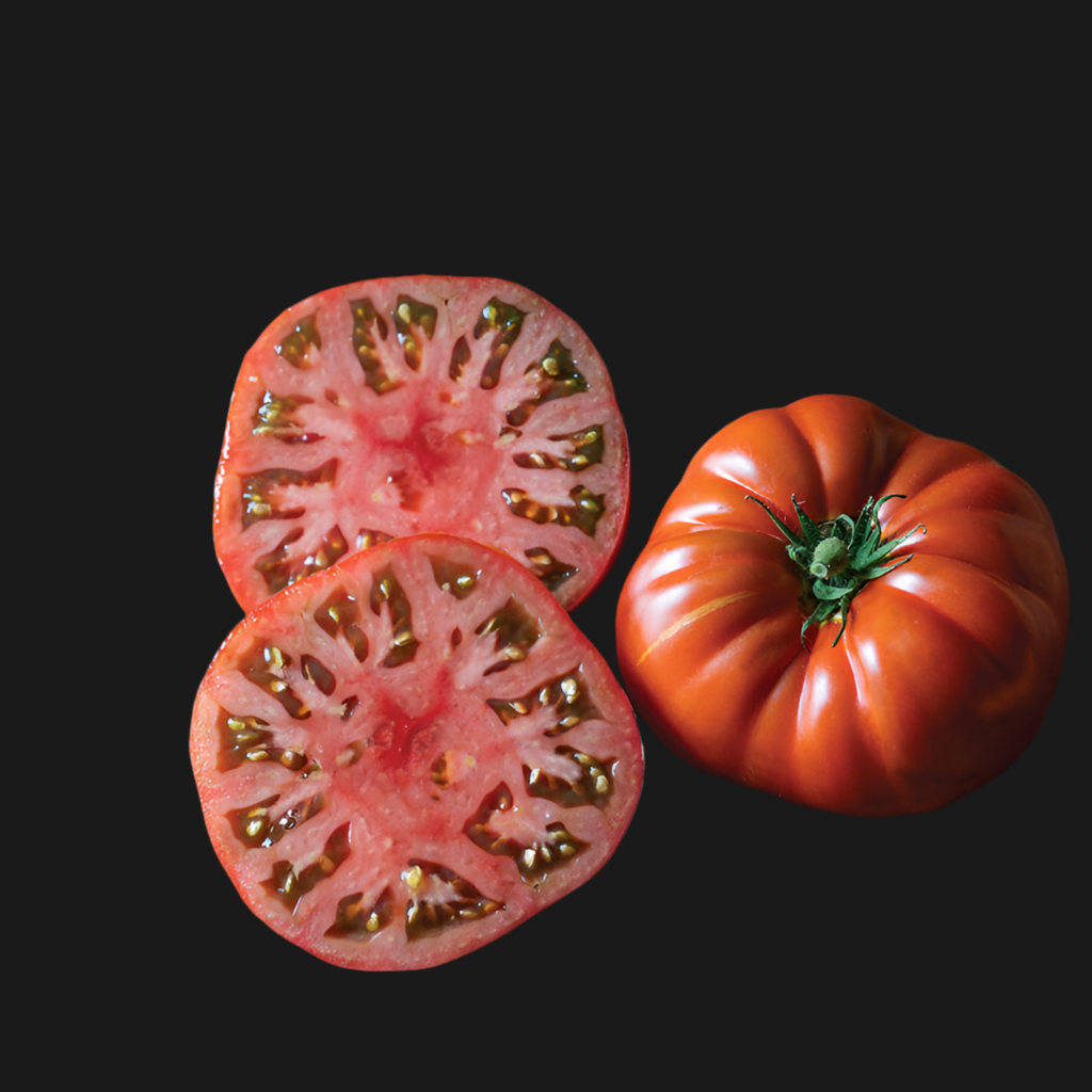 Tasmanian Chocolate 5 gal fabric pot