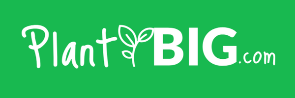 PlantBIG.com