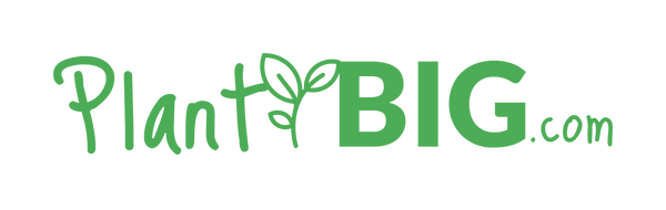 PlantBIG.com