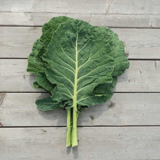 Cash Crop - Collard Seed