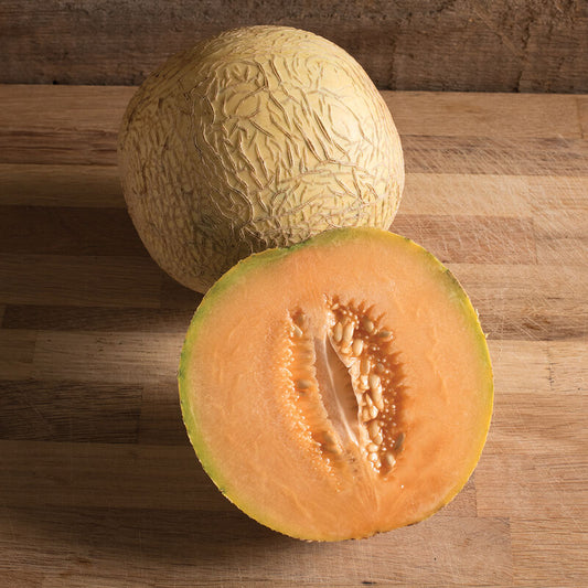 Divergent - Organic Melon