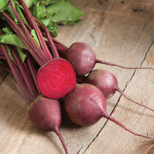 Red Ace - Organic Beet
